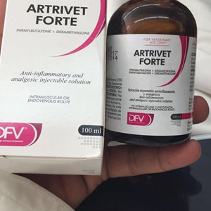 Buy Artrivet Forte 100ml Online