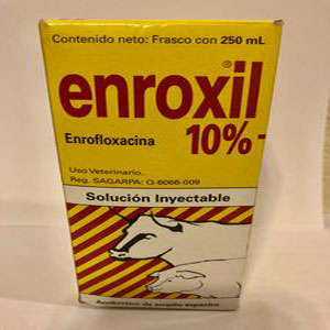 Buy ENROXIL 10% 250 ml Online