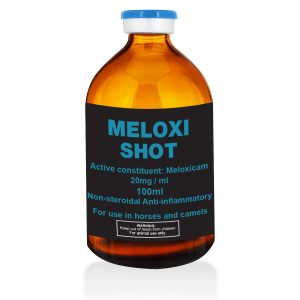 Buy Meloxi Shot 100ml Online - Meloxicam 20mg/ml