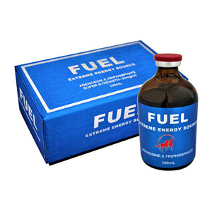 Buy Fuel 100ml Online - Fuel ATP